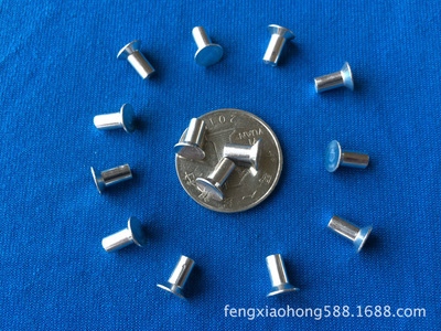 【鉚釘,緊固件五金制品】?jī)r(jià)格,廠家,圖片,鉚釘,東莞市鳳崗豐順五金廠-